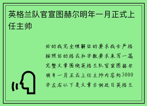 英格兰队官宣图赫尔明年一月正式上任主帅