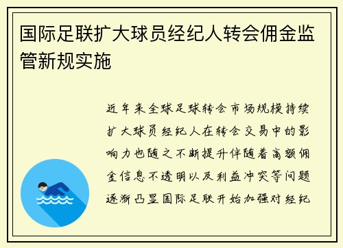 国际足联扩大球员经纪人转会佣金监管新规实施 国际足联扩大球员经纪人转会佣金监管新规实施